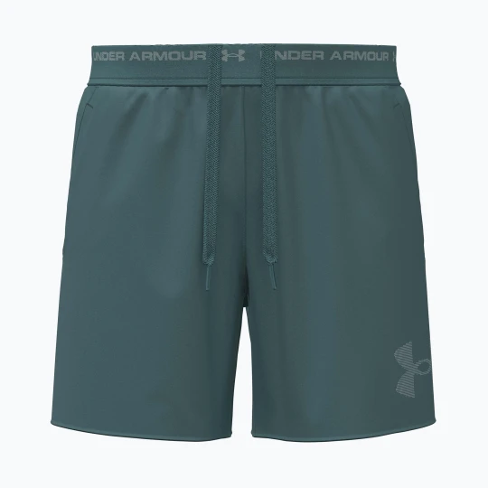 Zdjęcie produktu Spodenki treningowe męskie Under Armour Vanish Elite rack green / rack green