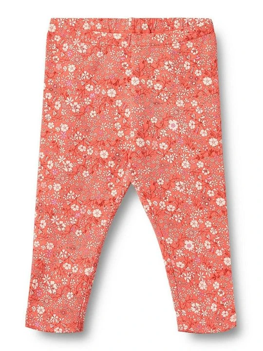 Zdjęcie produktu Spodnie legginsy Wheat koralowy