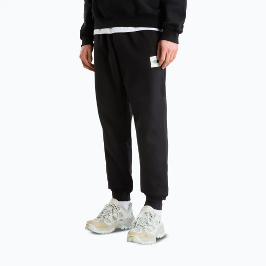 Zdjęcie produktu Spodnie męskie The North Face Evo Box Half Dome Regular Tappered tnf black