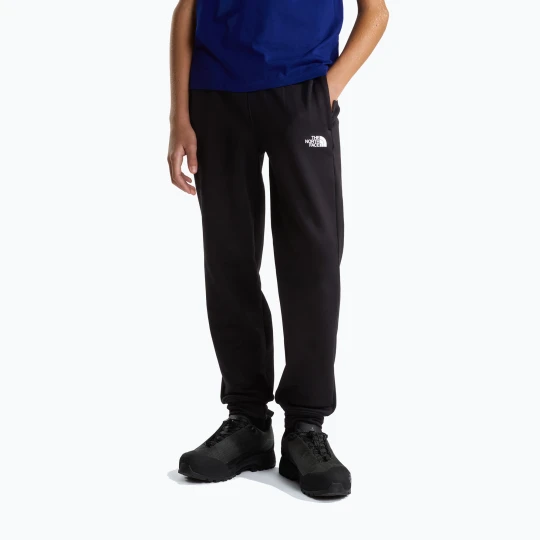 Zdjęcie produktu Spodnie męskie The North Face Performance Fleece Jogger tnf black