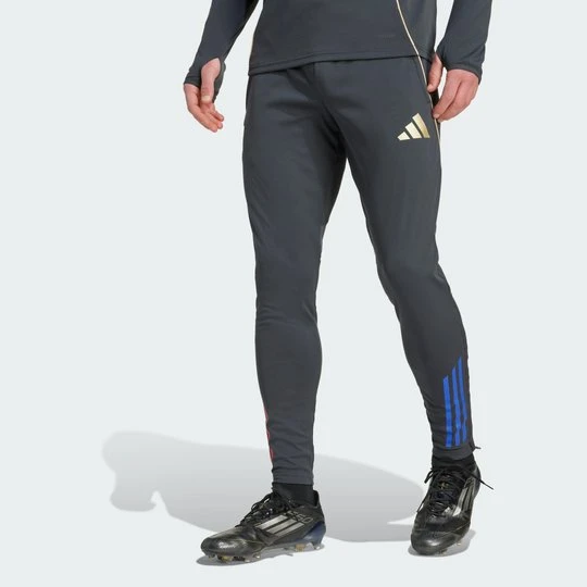 Zdjęcie produktu Spodnie Olympique Lyonnais Tiro 25 Competition Training Adidas szary