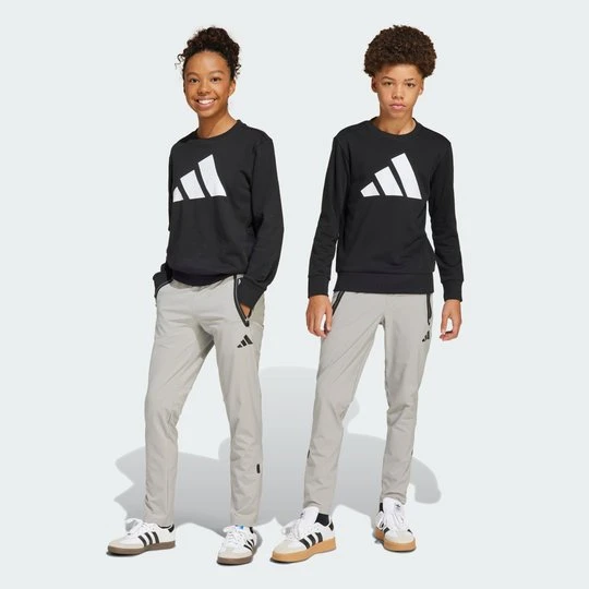 Zdjęcie produktu Spodnie Tiro25 Competition Vistech Travel Adidas Team Mid Grey