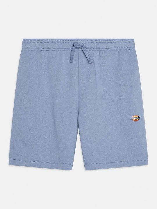 Zdjęcie produktu Spodnie treningowe Dickies niebieski
