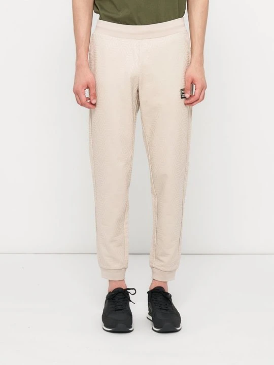 Zdjęcie produktu Spodnie treningowe EA7 Emporio Armani beżowy
