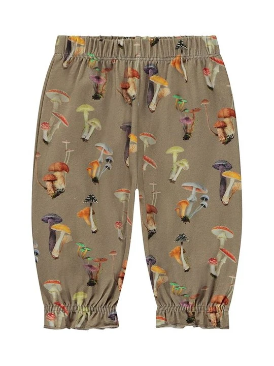Zdjęcie produktu Spodnie treningowe Molo khaki