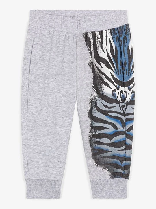Zdjęcie produktu Spodnie treningowe Roberto Cavalli szary