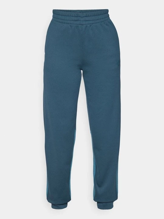 Zdjęcie produktu Spodnie treningowe The North Face petrol