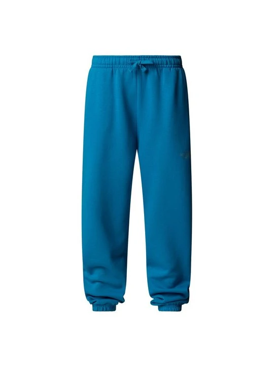 Zdjęcie produktu Spodnie treningowe The North Face niebieski