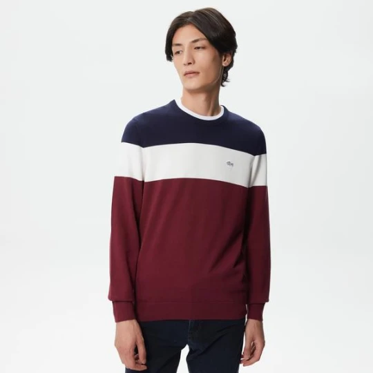Zdjęcie produktu Sweter Męski Lacoste