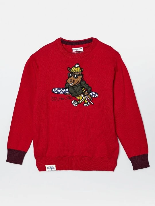 Zdjęcie produktu Sweter U.S. POLO ASSN.