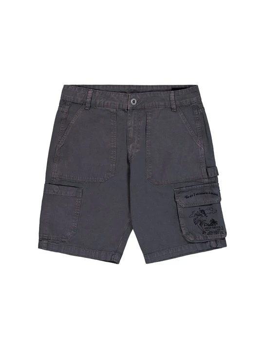 Zdjęcie produktu Szorty Alpha Industries szary