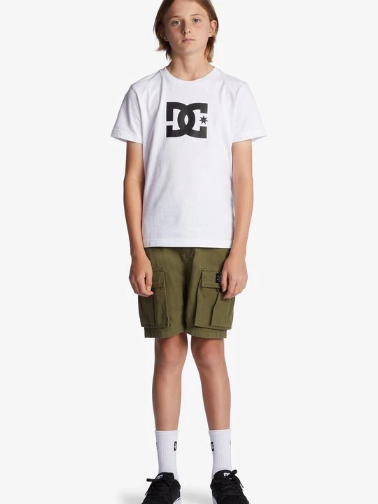 Zdjęcie produktu Szorty DC Shoes zielony