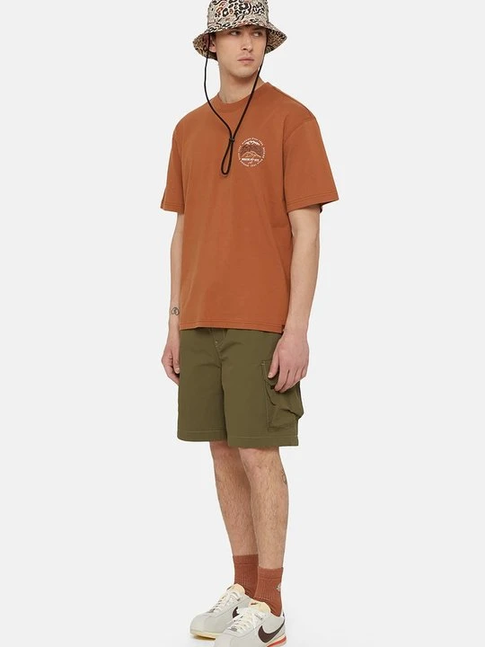 Zdjęcie produktu Szorty Dickies oliwkowy