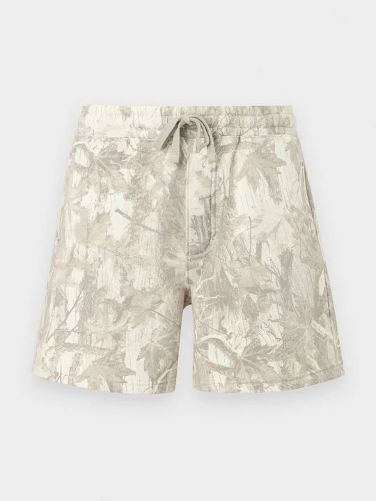 Zdjęcie produktu Szorty Hollister Co. szary