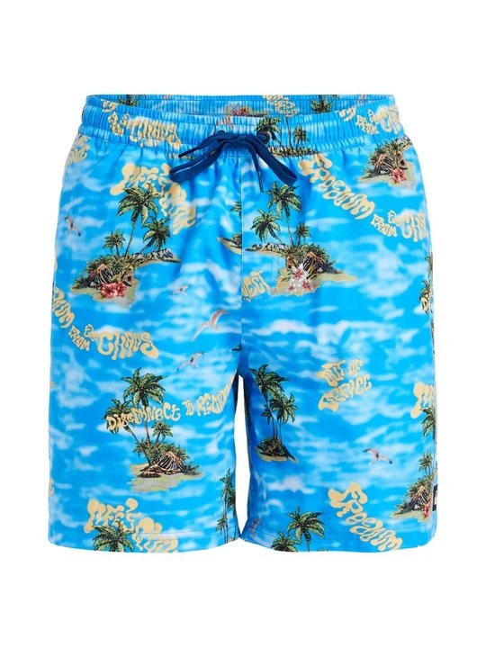 Zdjęcie produktu Szorty kąpielowe Quiksilver niebieski