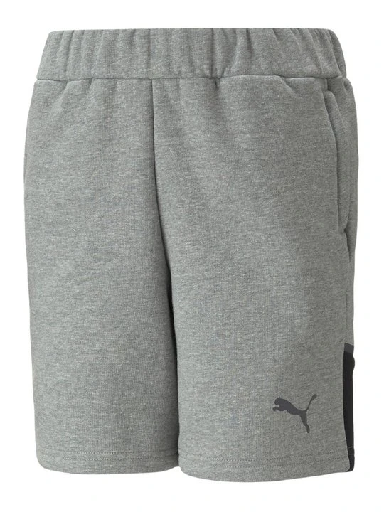 Zdjęcie produktu Szorty Puma szary
