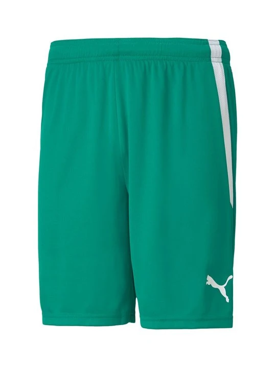 Zdjęcie produktu Szorty Puma zielony