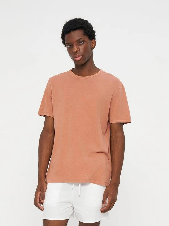 Zdjęcie produktu T-shirt basic American Vintage brązowy