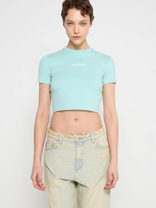 Zdjęcie produktu T-shirt basic Dickies turkusowy