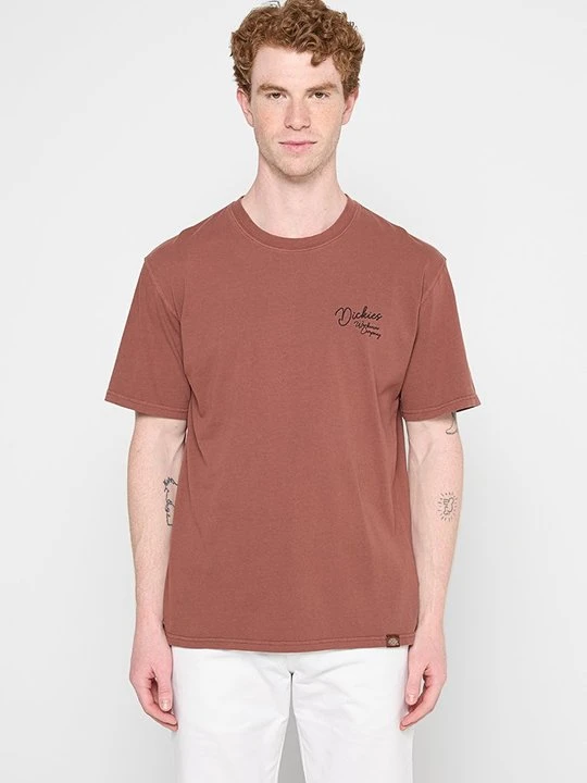 Zdjęcie produktu T-shirt basic Dickies jasnobrązowy