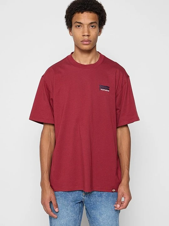 Zdjęcie produktu T-shirt basic Dickies jasnobrązowy