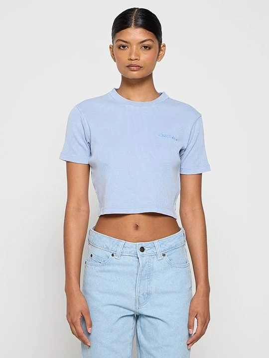 Zdjęcie produktu T-shirt basic Dickies niebieski