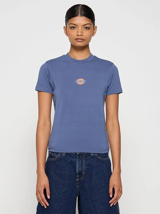 Zdjęcie produktu T-shirt basic Dickies niebieski