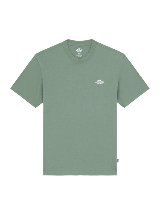 Zdjęcie produktu T-shirt basic Dickies jasnozielony