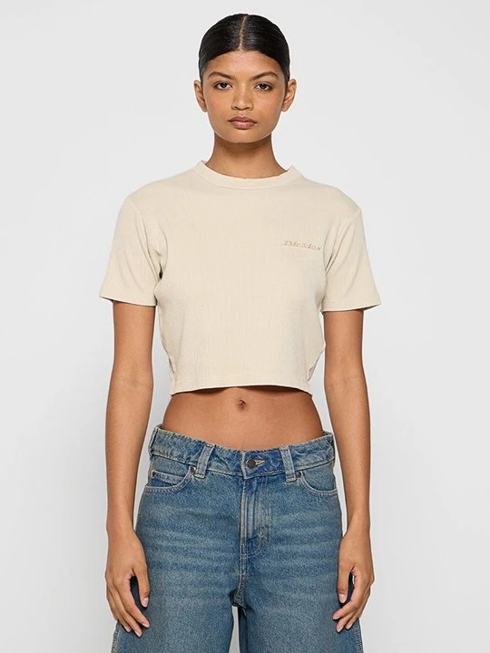 Zdjęcie produktu T-shirt basic Dickies beżowy