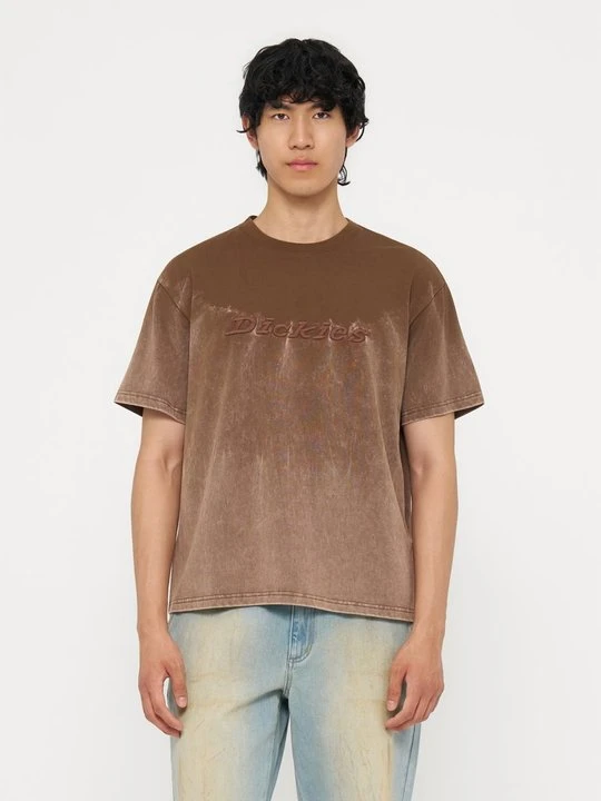 Zdjęcie produktu T-shirt basic Dickies brązowy