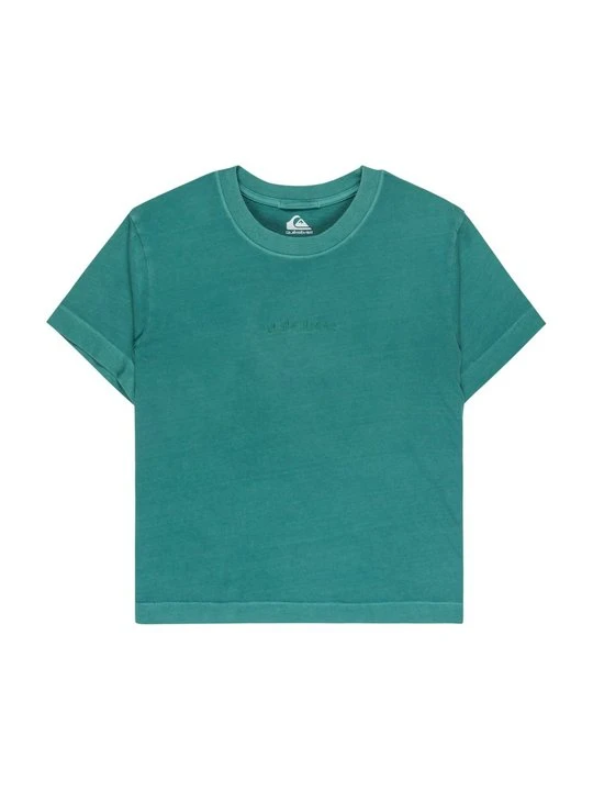Zdjęcie produktu T-shirt basic Quiksilver zielony
