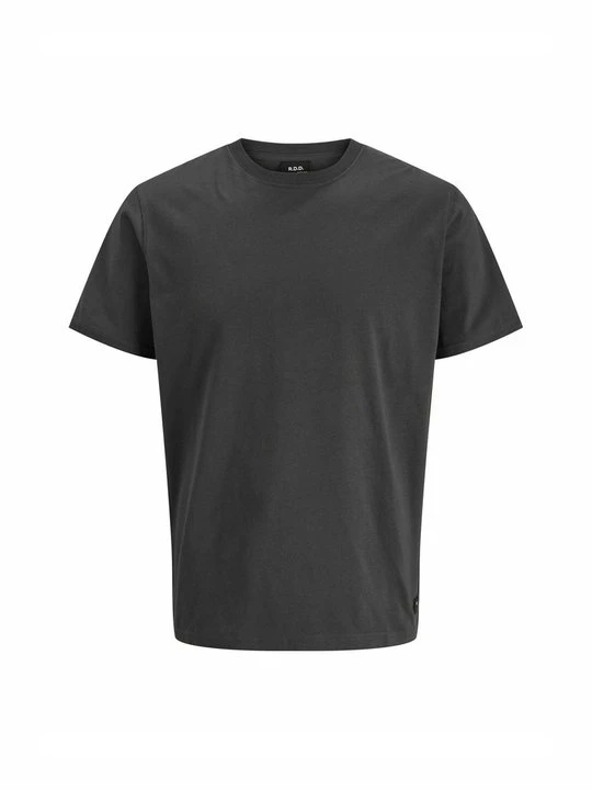 Zdjęcie produktu T-shirt basic R.D.D. ROYAL DENIM DIVISION szary
