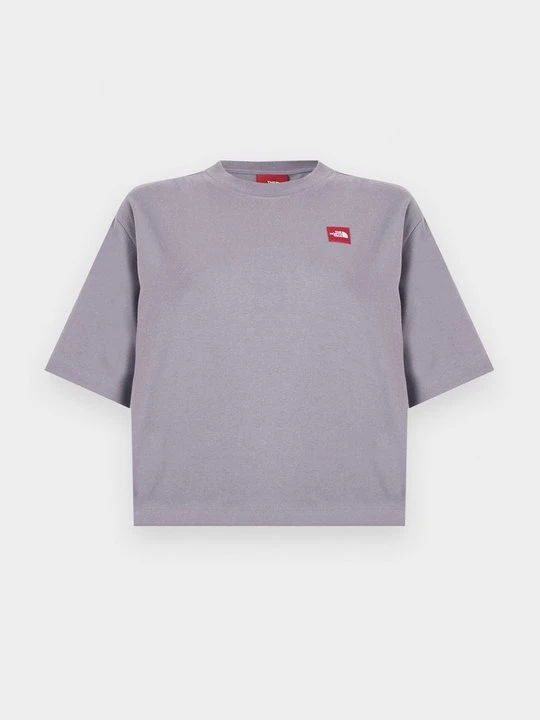 Zdjęcie produktu T-shirt basic The North Face szary