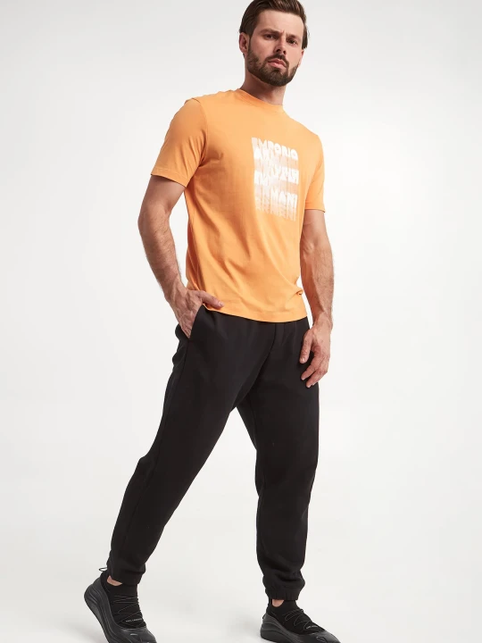 Zdjęcie produktu T-shirt męski EMPORIO ARMANI
