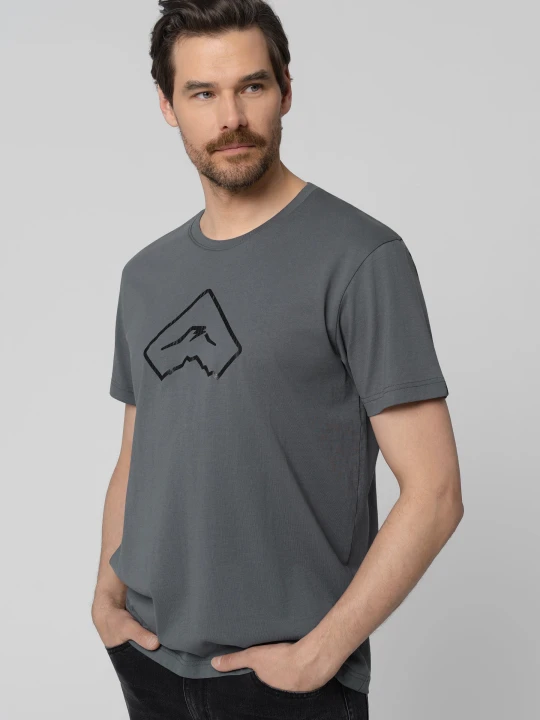 Zdjęcie produktu T-shirt z logo, Comfort Fit, T-CARB Volcano Grafitowy