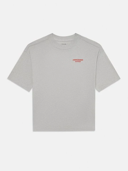 Zdjęcie produktu T-shirt z nadrukiem Abercrombie & Fitch szary