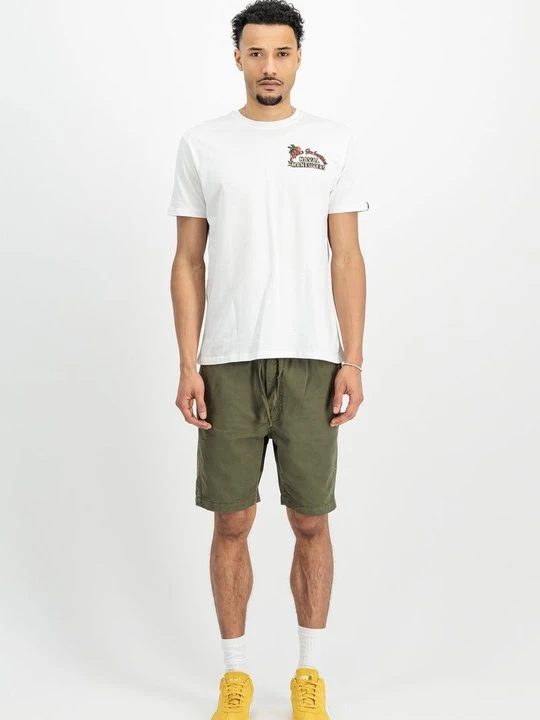 Zdjęcie produktu T-shirt z nadrukiem Alpha Industries biały