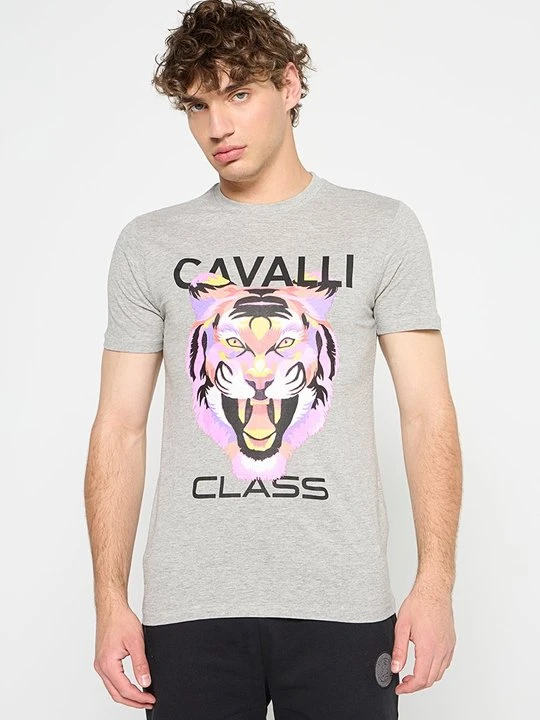 Zdjęcie produktu T-shirt z nadrukiem Cavalli Class szary