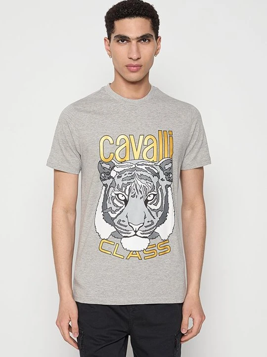 Zdjęcie produktu T-shirt z nadrukiem Cavalli Class szary