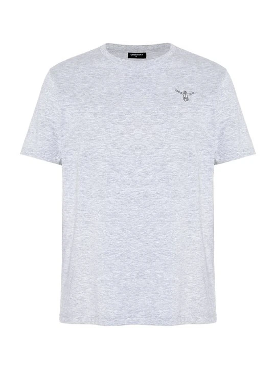 Zdjęcie produktu T-shirt z nadrukiem Chiemsee szary