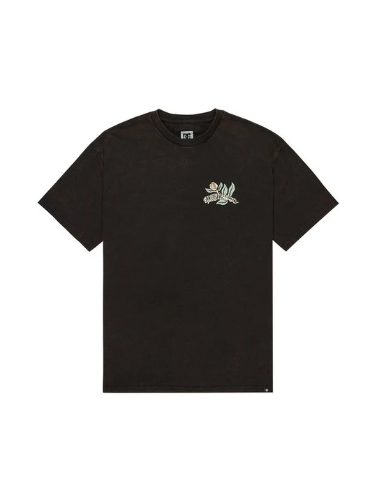 Zdjęcie produktu T-shirt z nadrukiem DC Shoes czarny