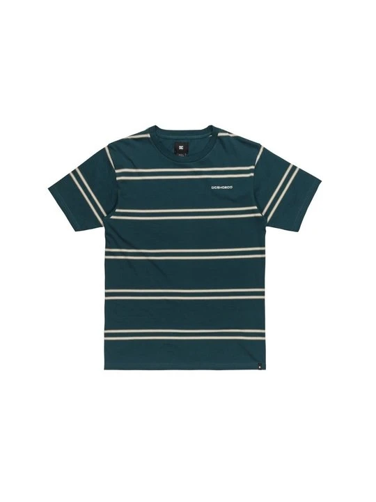 Zdjęcie produktu T-shirt z nadrukiem DC Shoes zielony
