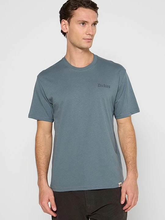 Zdjęcie produktu T-shirt z nadrukiem Dickies szary