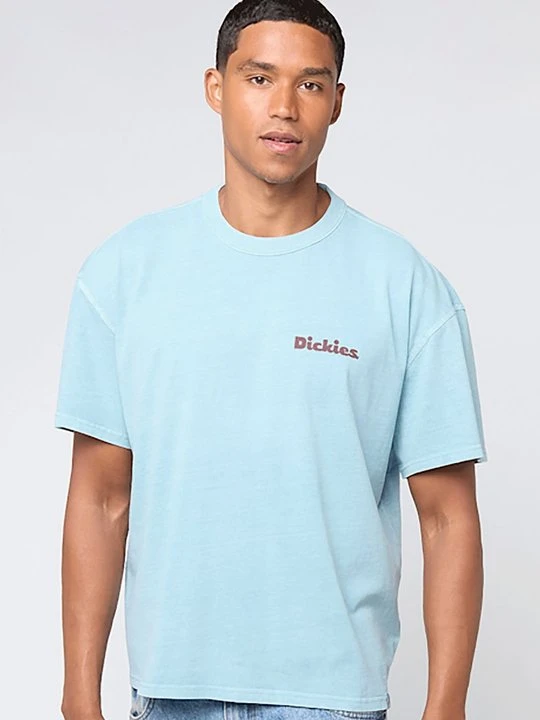 Zdjęcie produktu T-shirt z nadrukiem Dickies niebieski