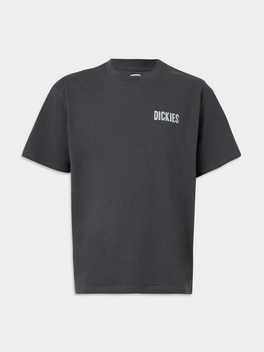 Zdjęcie produktu T-shirt z nadrukiem Dickies szary