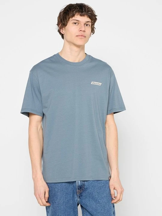 Zdjęcie produktu T-shirt z nadrukiem Dickies szary
