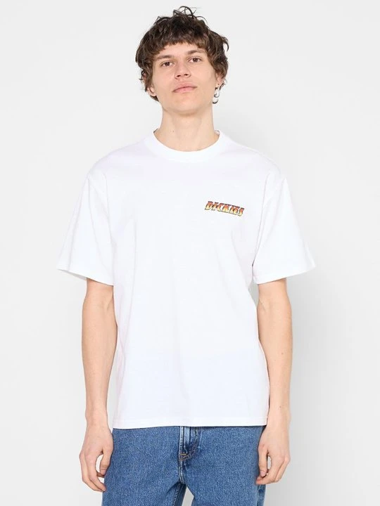 Zdjęcie produktu T-shirt z nadrukiem Dickies biały