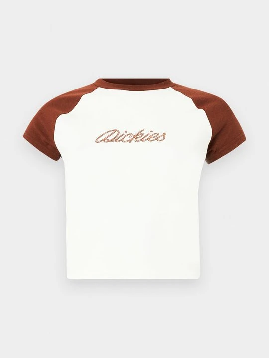 Zdjęcie produktu T-shirt z nadrukiem Dickies brązowy