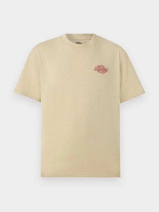 Zdjęcie produktu T-shirt z nadrukiem Dickies jasnozielony