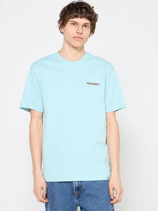 Zdjęcie produktu T-shirt z nadrukiem Dickies turkusowy